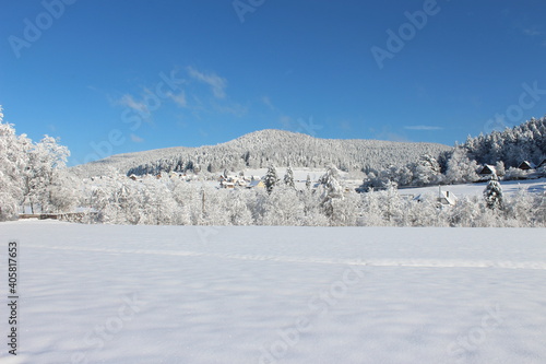 Eine weiße Winterlandschaft im Schwarzwald