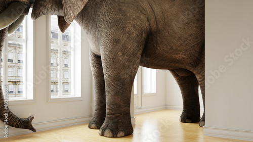 Großer Elefant im Raum als Platzproblem Konzept photo