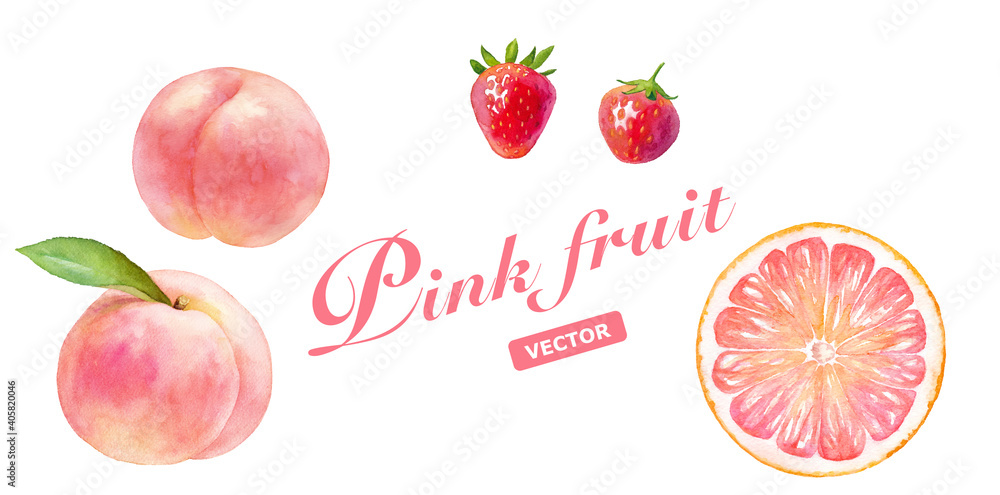 ピンク色のジューシなフルーツのセット 水彩イラストのトレースベクター 桃 白桃 いちご ピンクグレープフルーツ Stock Vector Adobe Stock