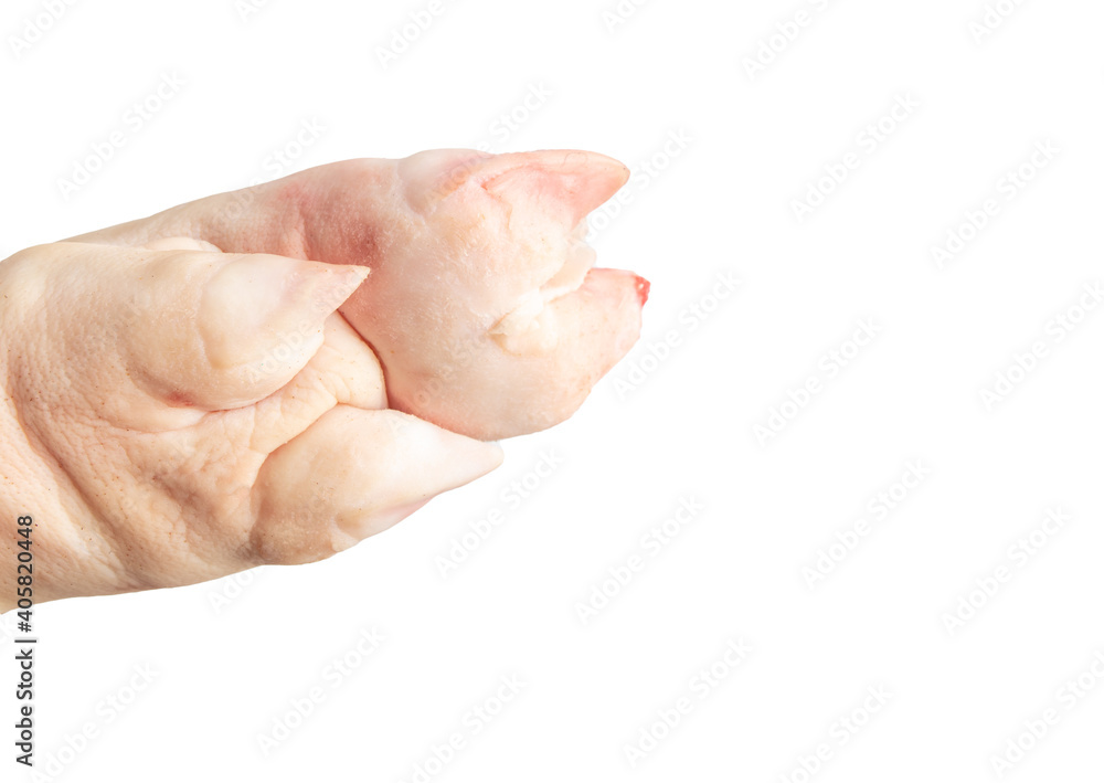 Pork hoof feet isolated on white background. Pork hoof feet isolated on white background.