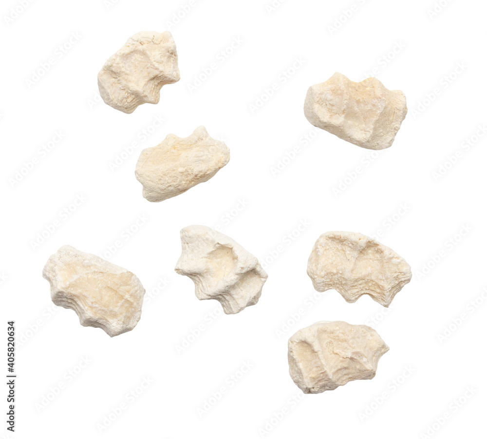Kurt is isolated on a white background. Kurt is isolated on a white background.