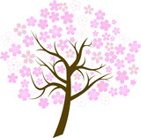 様々な桜の花びらと木