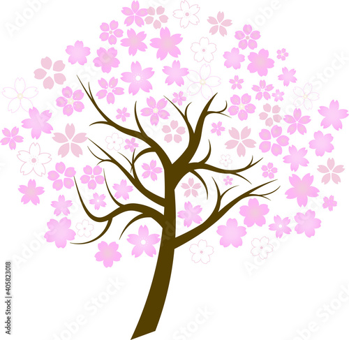 様々な桜の花びらと木 © foolchico