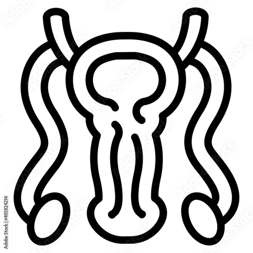 Male Reproductive Organ 