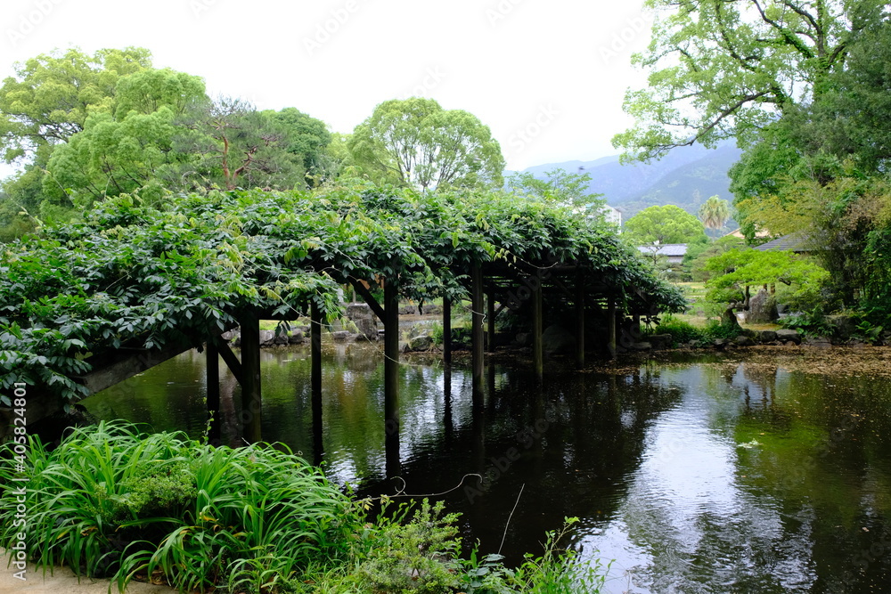 緑の橋がかかる池 緑の橋がかかる池