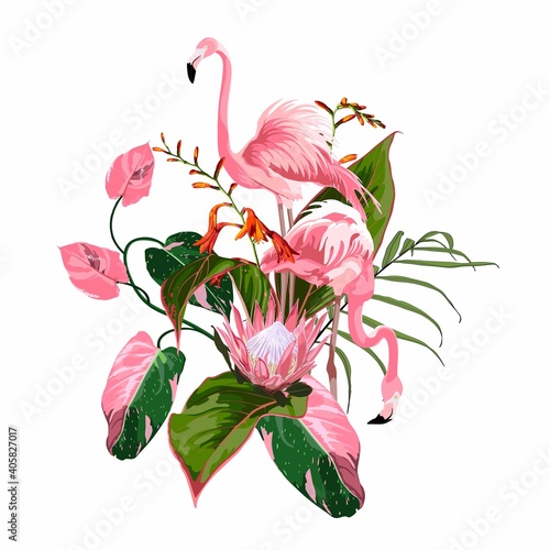 Paradise pink flamingo birds couple with exotic leaves and protea flower. Card template composition. Detailed design illustration. Valentine. Wedding. Poster. T shirt print.
