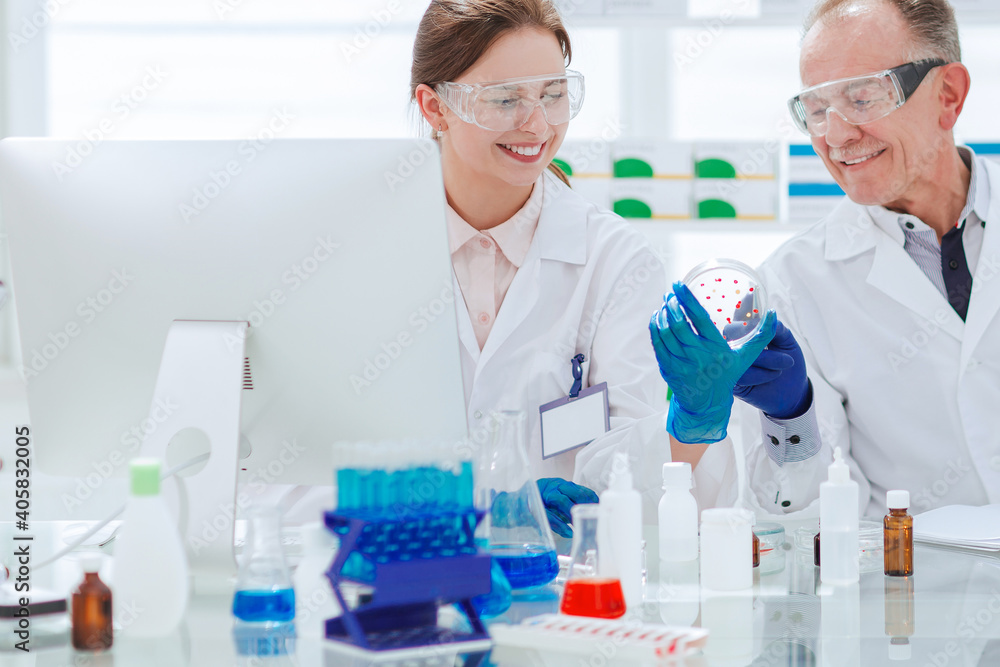 smiling scientists with a Petri dish sitting at a laboratory table. smiling scientists with a Petri dish sitting at a laboratory table.