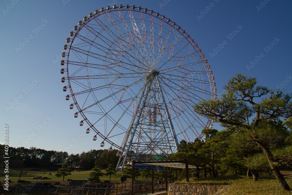Fototapeta premium 葛西臨海公園 観覧車のある風景