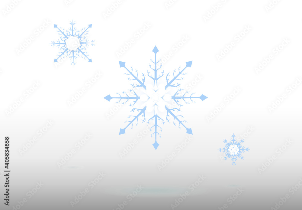 Fototapeta premium Snowflake icon in white and shiny background with white flowers, winter, new year in symbols and Christmas logos, vector illustration