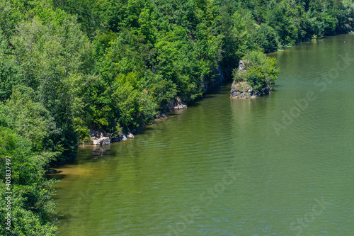 river in the forest