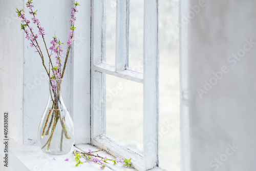 Fototapeta daphne flowers in vase on vintage windowsill