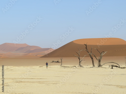 Sossusvlei and deadvlei red dunes in Namibia  Africa