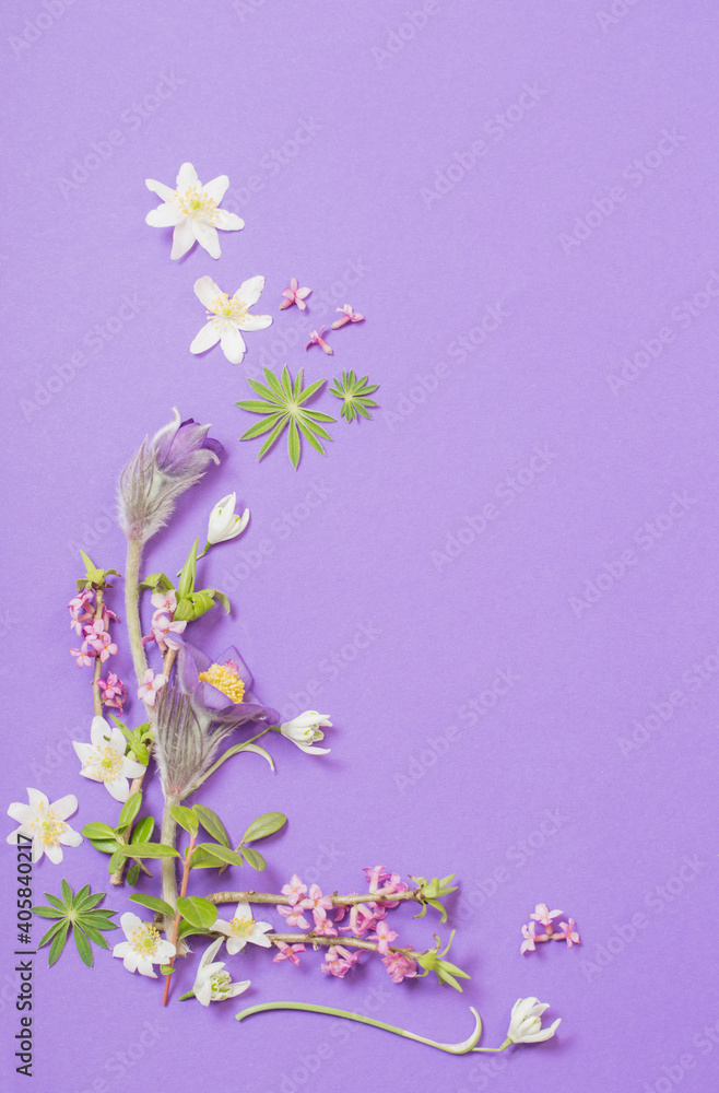 spring flowers on violet background