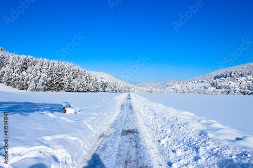 Winterstraße mit blauem Himmel und Wald