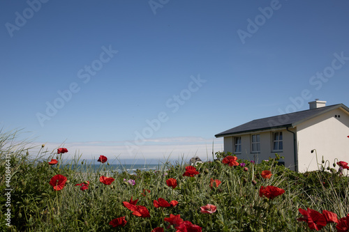 house in the field denmark beach