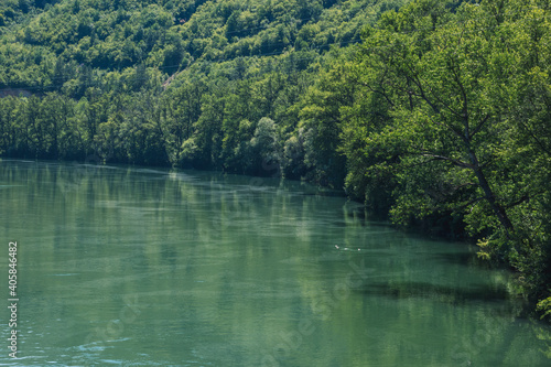 lake in the forest