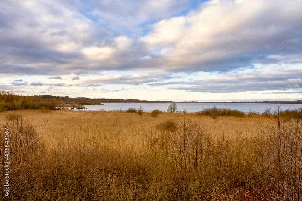 A view of a marsh filled with reeds. A lake in the background. Picture from Lund, southern Sweden