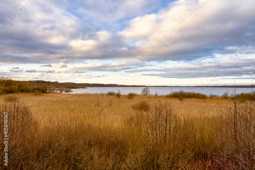 A view of a marsh filled with reeds. A lake in the background. Picture from Lund  southern Sweden