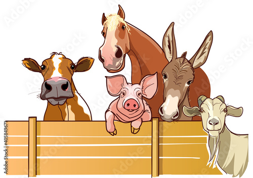 Farm animals, illustration of farm with all farm animals: cow, pig, horse, goat, donkey. Vector illustration