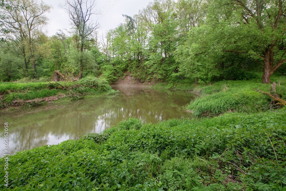 Natural meanders of Oder near Studenka in spring. Northern Moravia. Czechia. Europe. Natural meanders of Oder near Studenka in spring. Northern Moravia. Czechia. Europe.