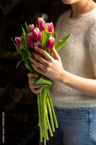 Many beautiful fresh tulips in woman's hands