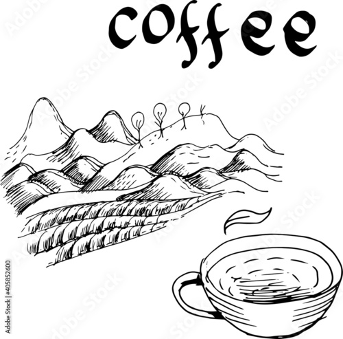 Coffee, plant, drink. Cappuccino, ristretto, breakfast. Graphic hand-drawn illustration. Print, textile, vector. Separate elements on a white background.
