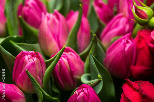 Fresh tulips for woman on special occasion