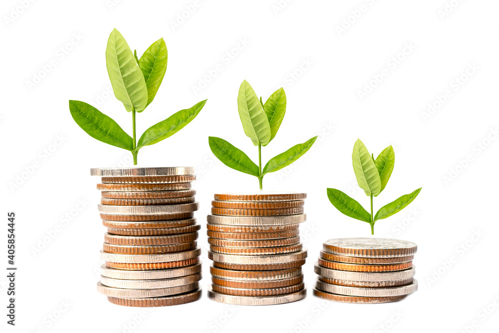 Tree plumule leaf on save money coins, Business finance saving banking investment concept. Tree plumule leaf on save money coins, Business finance saving banking investment concept.
