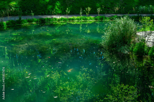 Summer landscape with calm green pond water in a park with lush foliage and lawns. 