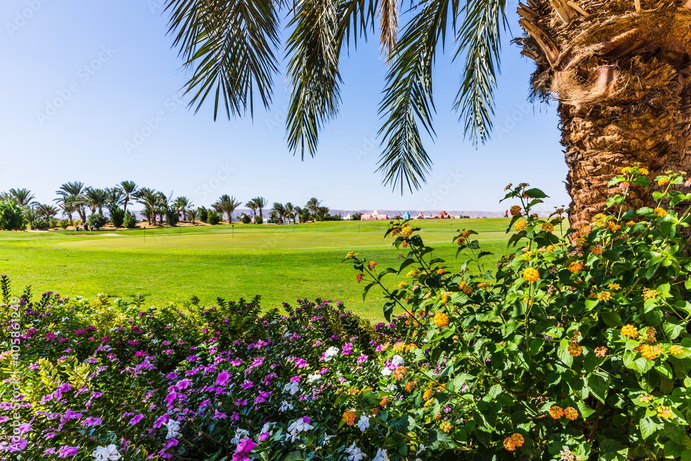 
golf courses in El Gouna, Egypt, all hotels and buildings are located on small islands connected by bridges and canals