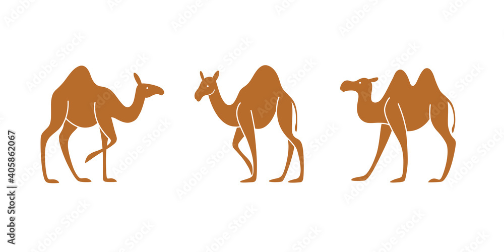 Naklejka premium Cartoon silhouette of camel. Сute animals set of icons.