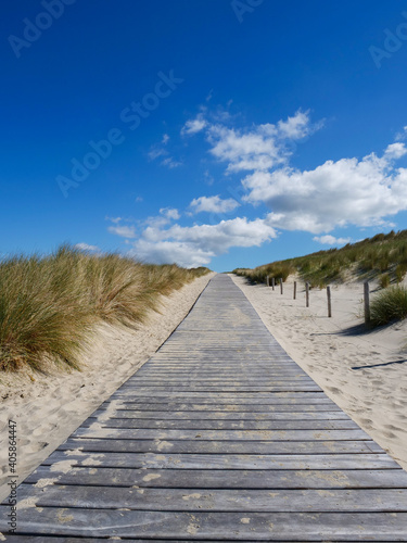 Path at the dunes of Petten  The Neterlands