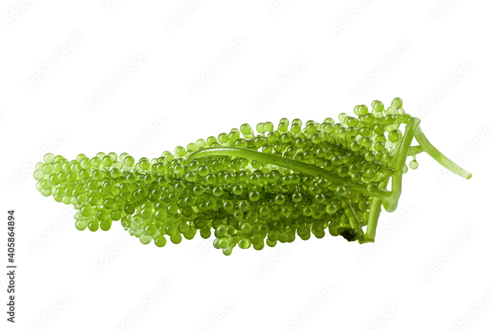 Naklejka premium Oval sea grapes seaweed, Close up Green Caviar isolated on white background.