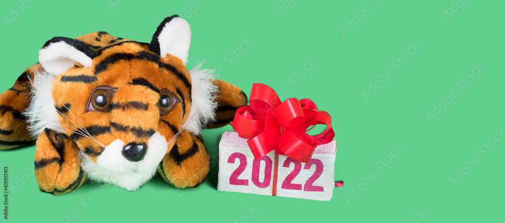 Tiger symbol of 2022 year and gift box with text 2022, isolated on green background. Copyspace for text