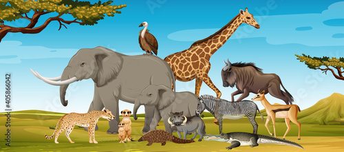 Group of wild african animal in the forest scene