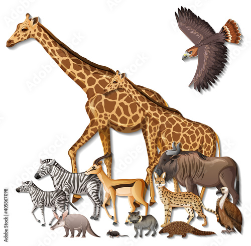 Group of wild African animals on white background