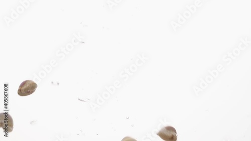 Sea shells fall in water in an aquarium on white background, objects into liquid.
