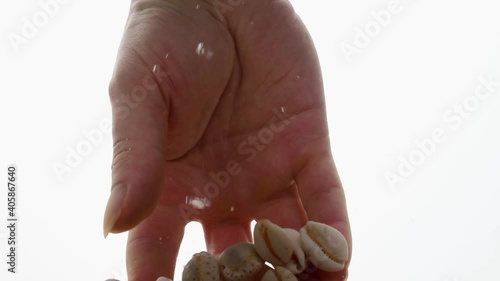 Male hand takes seashells in water in an aquarium on white background, objects into liquid.