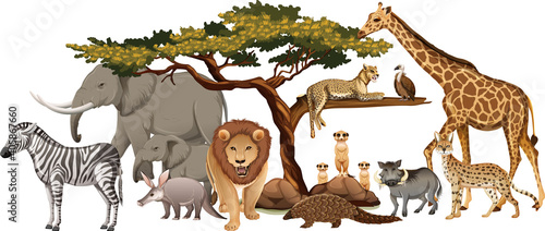 Group of wild african animal on white background