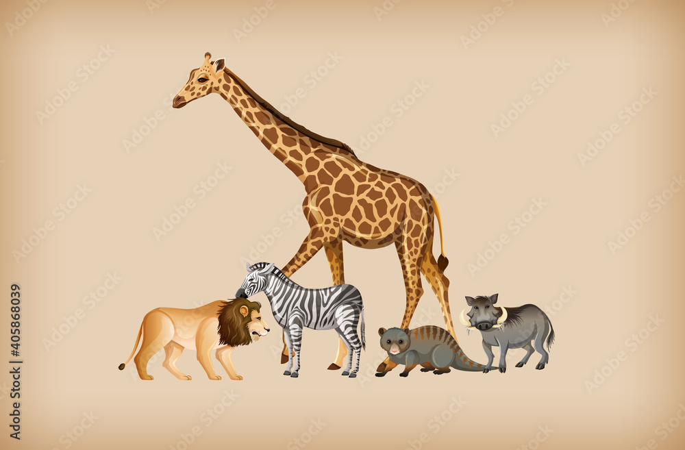 Obraz premium Group of wild animal on background