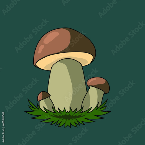 White mushroom. Vector illustration.