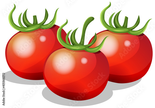 Fresh tomato on white background