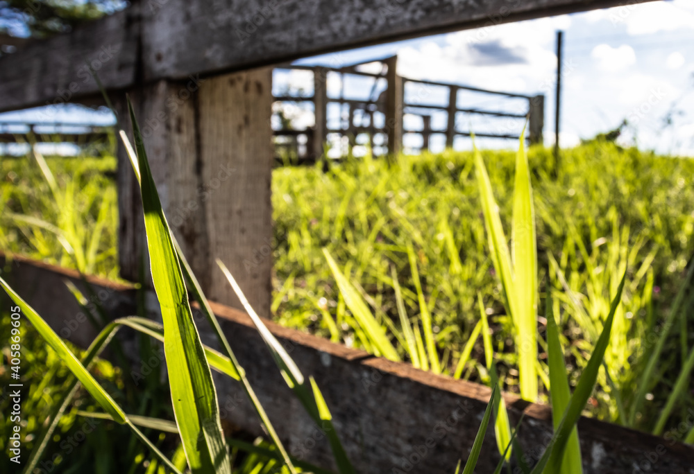 Fototapeta premium Wooden Fence in Rural Landscape with Bright Sunlight and Green Pasture