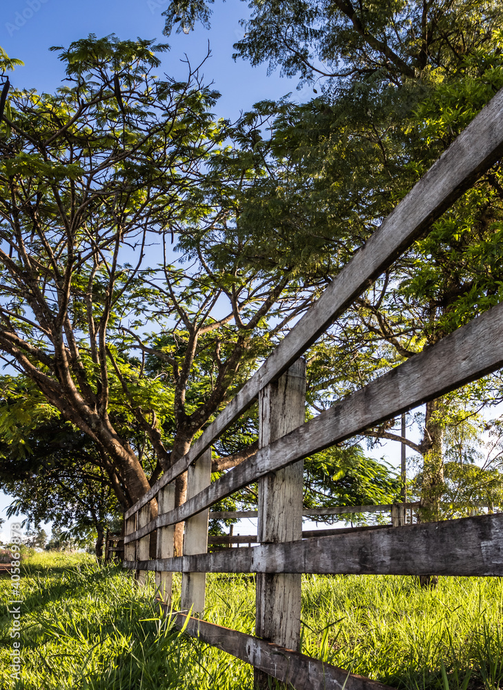 Wooden Fence in Rural Landscape with Bright Sunlight and Green Pasture Wooden Fence in Rural Landscape with Bright Sunlight and Green Pasture