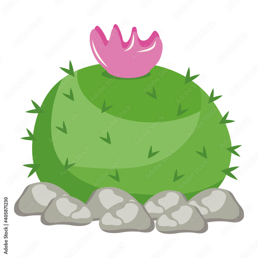 cactu plant exotic with rocks and pink flower vector illustration design cactu plant exotic with rocks and pink flower vector illustration design