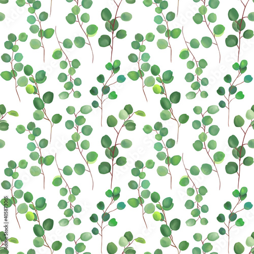 Leaves and branches of eucalyptus.Eucalyptus plant seamless watercolor pattern on white background.