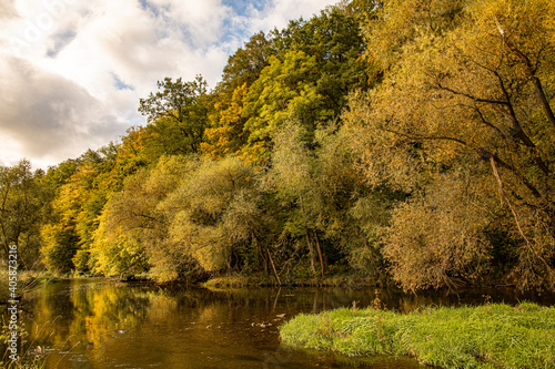 autumn landscape with lake