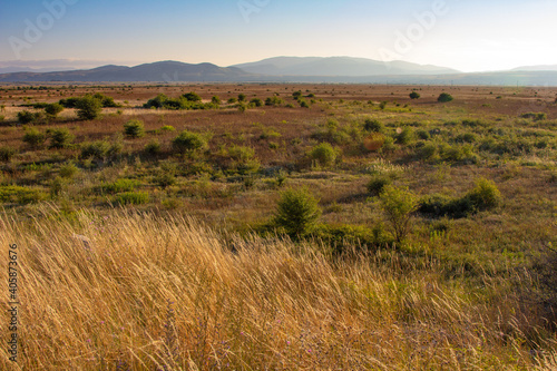 Bild auf Leinwand Shrubland vegetation in Mediterranean