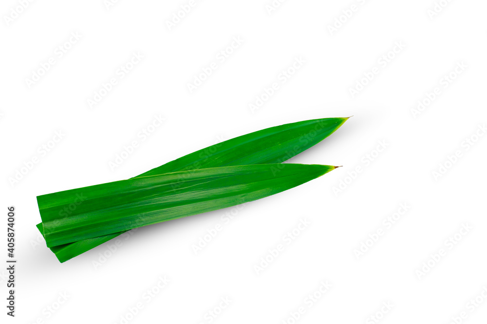Flat lay (top view) of Fresh green pandan leaves isolated on white background. Flat lay (top view) of Fresh green pandan leaves isolated on white background.