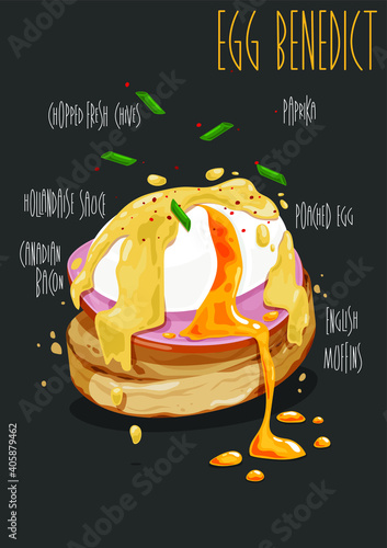 Egg Benedict - toasted English muffins, ham, poached eggs, and delicious buttery hollandaise sauce. Vector illustration